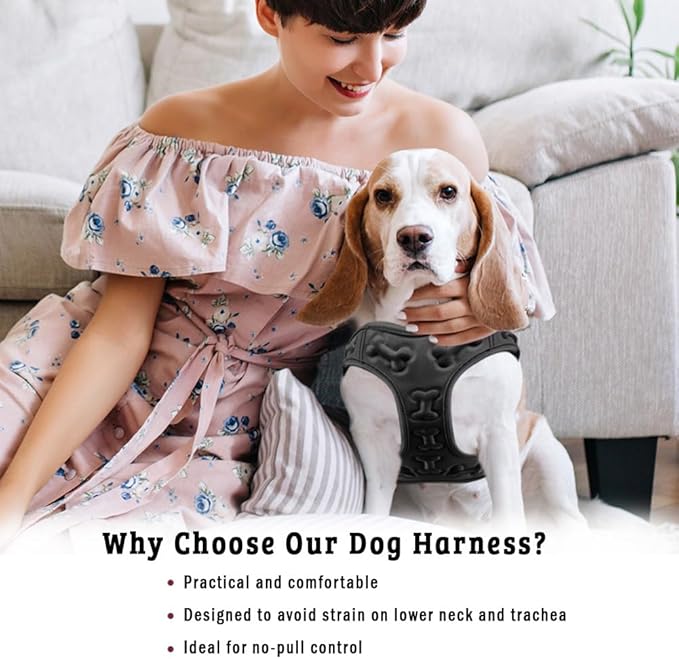 Comfort Fit Dog Harness No Pull No Escape Harness Adjustable Buckles Soft Padded Reflective Choke Step in Dog Vest with Easy Control Handle for Small Medium Large Dogs & Puppies-PawvioPets