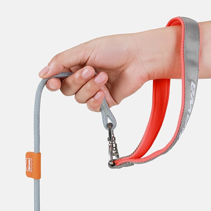 Dog Anti-Slip Leash 5FT with Metal Stopper - Durable No-Pull Training Lead for Small, Medium & Large Dogs - Comfortable Handle Nylon Rope, Tangle-Free Pet Walking Leash (Gray, 5.6FT)-PawvioPets