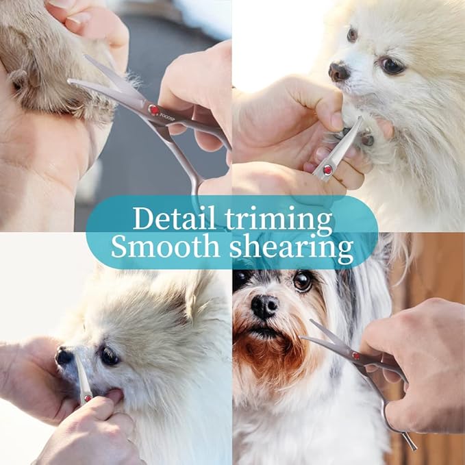 4.5" Curved Dog Scissors for Grooming Face and Paws with Safety Round Tip for Small Dogs Face Paw Ears Trimmer Professional Small Cat Grooming Shears (4.5" Curved, Gray)-PawvioPets