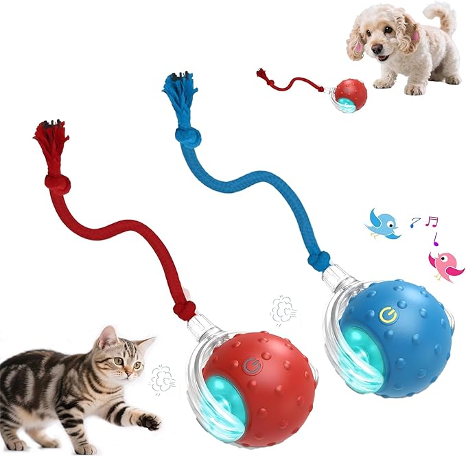 2-Pack Interactive Cat Toys Ball - 2025 New Gen with Smart Obstacle Avoidance,Bird Chirps & Auto Wake-Up,Includes 2 Speedy Tail 2.0 Ropes, Ideal Kitten Toys for Bored Indoor Cats (Red & Blue)-PawvioPets