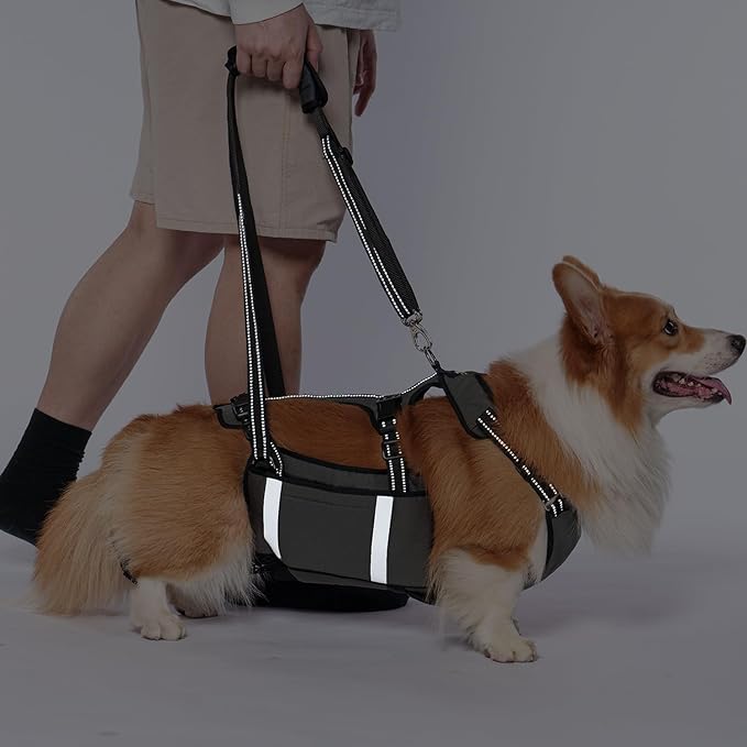 COODEO Mobility Dog Lift Harness, Emergency Carry Sling, Pet Rear Leg Support Rehabilitation Lifts Vest, Dog Carrier for Senior Dogs Joint Injuries, Arthritis (Military Green, M)-PawvioPets