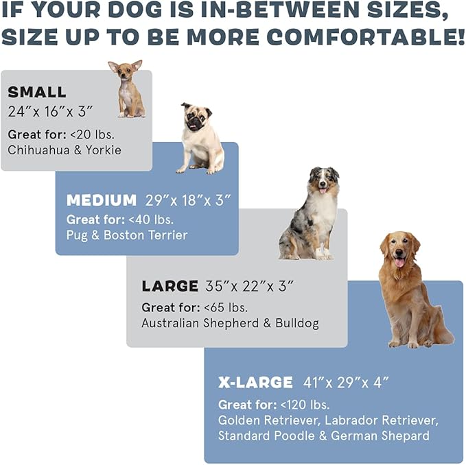 Barkbox Orthopedic Dog Bed | Comfortable Memory Foam Mattress for Joint Relief | Head and Neck Support Waterproof with Non Skid Bottom | Calming Durable Bed with Washable Cover | Small, Navy-PawvioPets