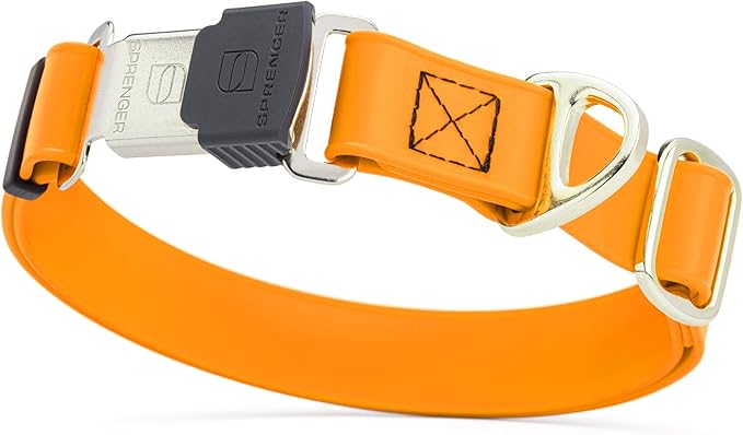 Dogline Biothane Waterproof Dog Collar with Herm Sprenger Stainless Steel Quick Release Buckle – Heavy Duty Tactical Durable Collar for Dogs – Comfortable and Safe Pet Collar W 3/4" L 12-19" Tangerine-PawvioPets