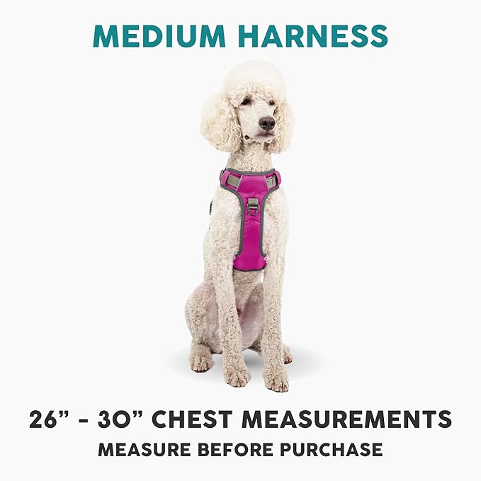 Embark Adventure Dog Harness, Reflective Trim No Pull Dog Harness Medium Sized Dogs - Military Grade Nylon, Front Clip with Gel Lined Handle.-PawvioPets