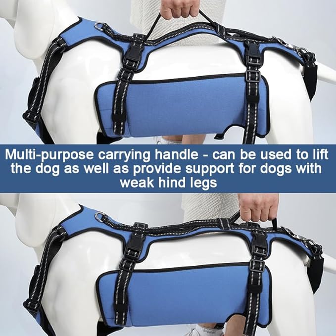 Coodeo Dog Lift Harness, Full Body Support & Recovery Sling, Pet Rehabilitation Lifts Vest for Old Dog with Arthritis Walk(Bule,L)-PawvioPets