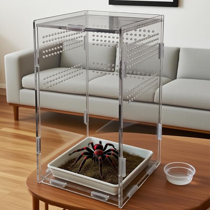 Acrylic Jumping Spider Enclosure,Reptile Enclosure,Bug Habitat, for Small Tree Dwelling Reptiles,Arboreal Tarantula Enclosure, Spider Terrarium Kit,Plastic Terrarium(4.7" X 4.7" X 8")-PawvioPets