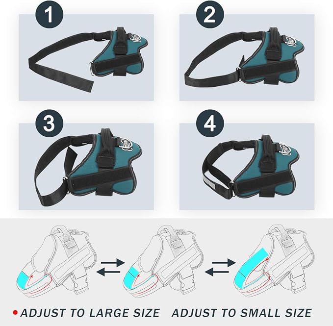 Bolux Dog Harness, No-Pull Reflective Dog Vest, Breathable Adjustable Pet Harness with Handle for Outdoor Walking - No More Pulling, Tugging or Choking (Turquoise, L)-PawvioPets