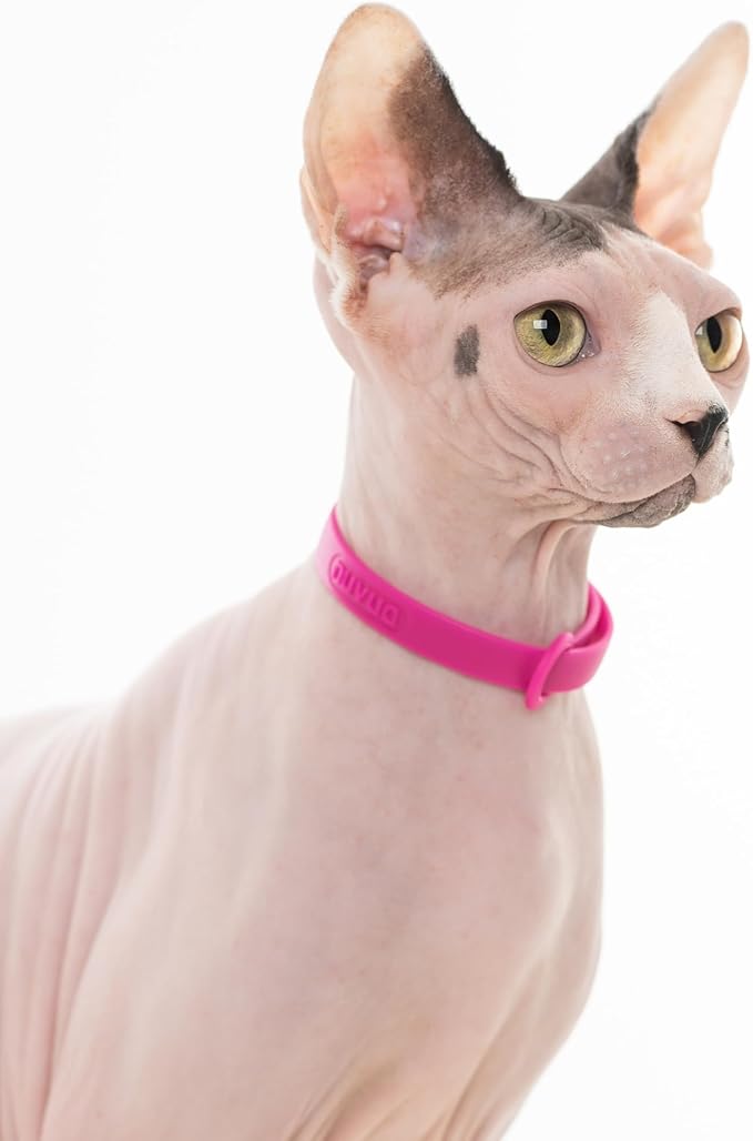 Cat Collar 2 Pack - Soft, Comfortable, and Lightweight Safety Breakaway Collar with Name Tag Ring for Outdoor Cats and Sensitive Skin Kittens by Nuvuq (6 ⅞" to 10 ¼", Pink)-PawvioPets