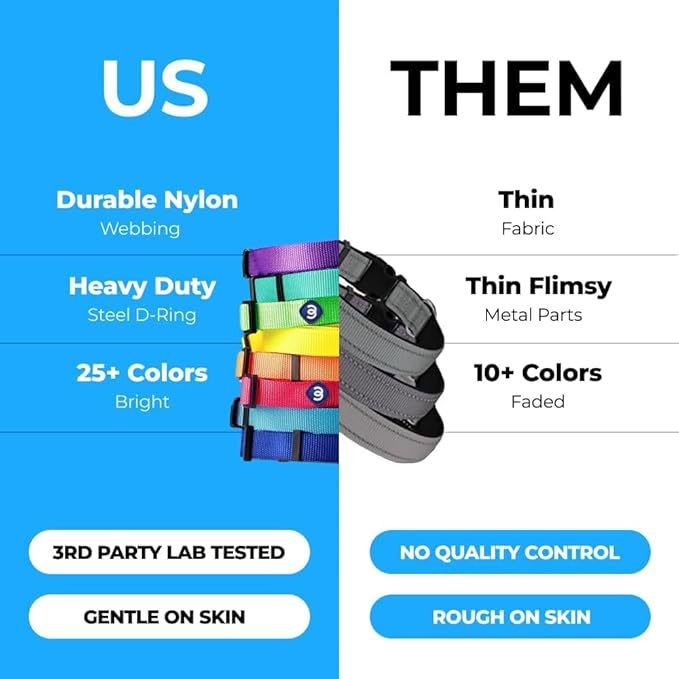 Blueberry Pet Essentials X-Small Dog Collar in Turquoise | Adjustable & Eco-Friendly Durable Nylon Strap | Classic Collar for X-Small Dogs, Boy & Girl Pets-PawvioPets