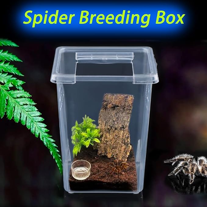 10 Pack Spider Terrariums Breeding Box Small Reptile Hatching Container Acrylic Feeding Box for Arboreal Spider Tarantula Mantis Scorpion Centipede Insect (5 High+5 Small)-PawvioPets