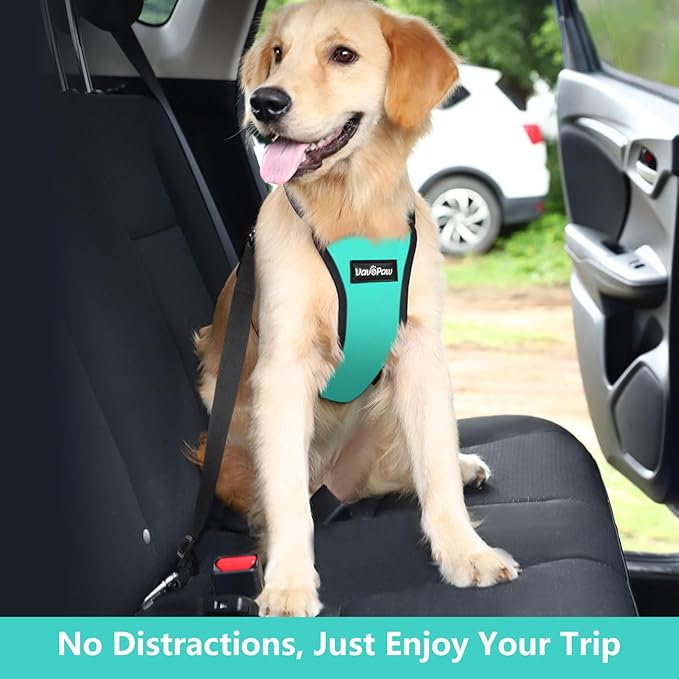 Dog Seat Belt, Safety Vest Dog Car Harness with Adjustable Buckle Dog Seat Belt for Vehicle Nylon Pet Safety Seat Belts Heavy Duty(XXL, Blue)-PawvioPets