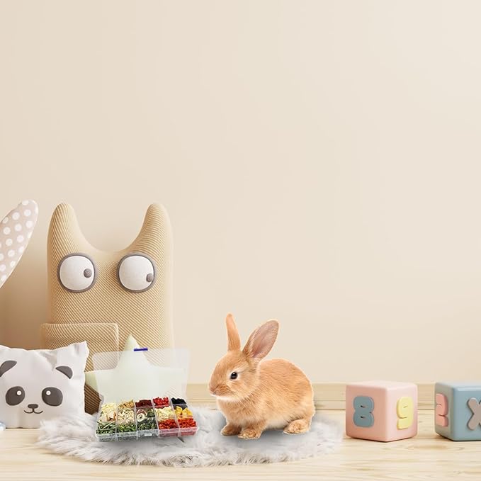 Bunny Treats, Treat Box with 15 Kind of Snacks for Rabbit, Hamster, Chinchilla, Guinea Pig and Other Small Pets, Chinchilla Treats, Guinea Pig Treats, Hamster Treats-PawvioPets