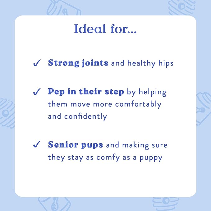 Bocce's Bakery Hip & Joint Supplement for Dogs, Daily Chews Made in The USA with Glucosamine, MSM, and Chondroitin, Supports Healthy Joints, Peanut Butter & Honey, 60 ct-PawvioPets