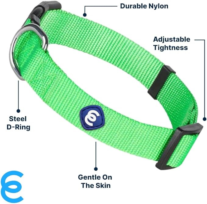 Blueberry Pet Essentials Small Dog Collar in Neon Green | Adjustable & Eco-Friendly Durable Nylon Strap | Classic Collar for Small Dogs, Boy & Girl Pets-PawvioPets