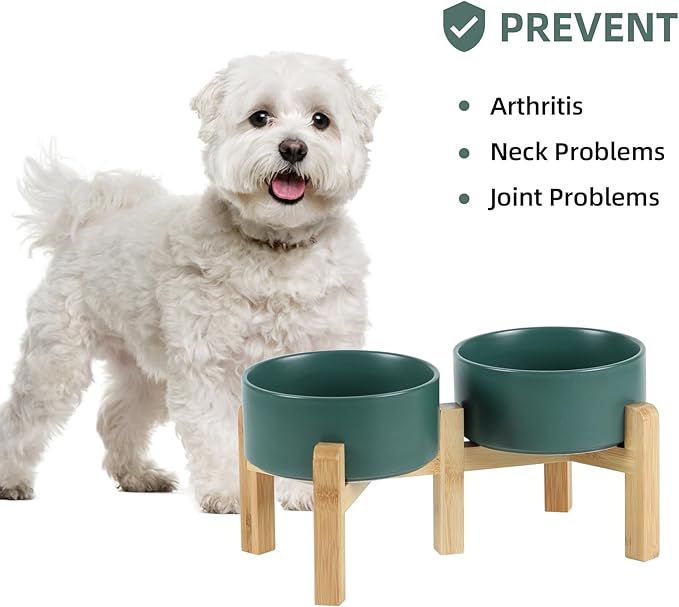 Ceramic Raised Double Bowls Set with Stand, 2 Heights Elevated, Food & Water Bowls for Small Breed Dogs, Weighted Dog Dishes, Pet Bowl(6.1'',28.7oz, Green)-PawvioPets