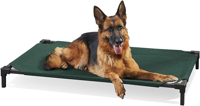 Coolaroo Pro Elevated Dog Bed - Low-Profile Access, Moisture-Resistant Cover, Breathable Fabric & Tool-Free Setup, Brunswick Green, Standard-PawvioPets