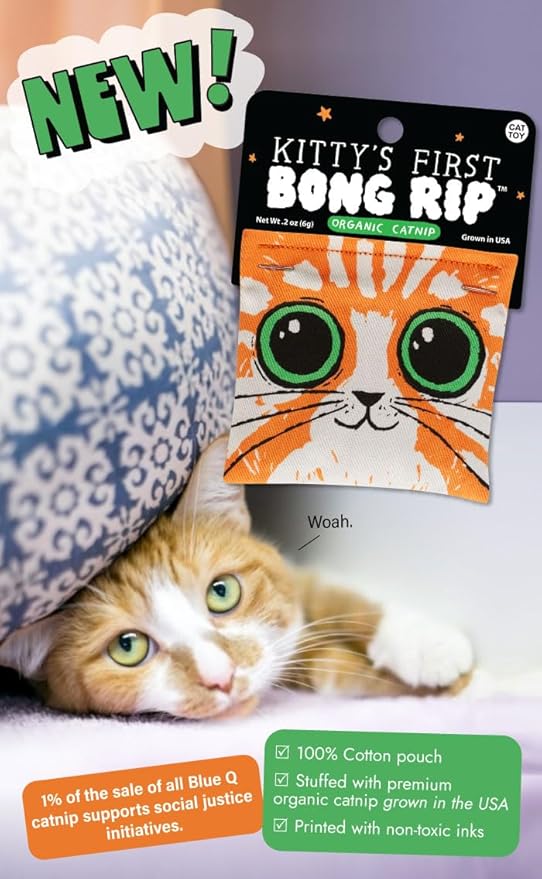 Blue Q Kitty's First Bong Rip Catnip Cat Toy. Premium Organic Catnip Grown in The USA, 100% Cotton Pouches, Kitty Graphics Sure to Delight Every Cat-Keeper.-PawvioPets