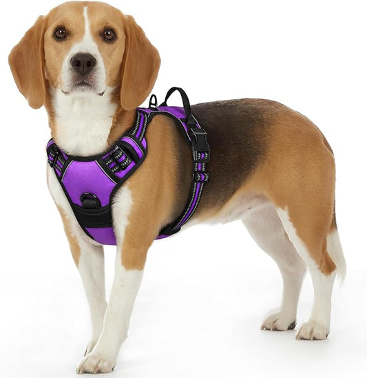 Eagloo Dog Harness Small Sized Dog, No Pull Service Vest with Reflective Strips and Control Handle, Adjustable and Comfortable for Walking, No Choke Pet Harness with 2 Metal Rings, Purple, S-PawvioPets