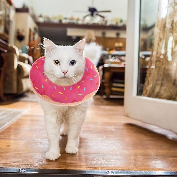 BINGPET Cute Donut Recovery Collar for Cats and Puppies, Soft Adjustable Protective Pet E Collar Neck Cone After Surgery, Fit for Kitties, Small Dogs-PawvioPets