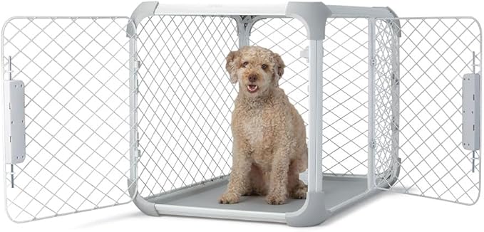 DIGGS Evolv Dog Crate - Slim, Durable Dog Kennel with Removable Ceiling Panel and Modular Design - Safe, Stylish, and Convenient (Ash, Intermediate)-PawvioPets