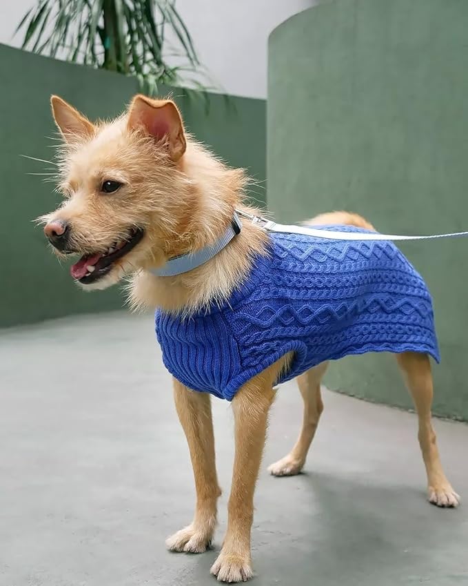 Blueberry Pet Essentials Matching Large Dog Collar | Adjustable Classic Solid Color Nylon Dog Collars for Large Dogs | Chambray Blue Dog Collar for Large Dogs-PawvioPets