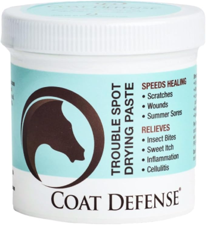 COAT DEFENSE Trouble Spot Drying Paste for Horses - Natural Equine Wound Care That Provides Safe & Effective Relief from Scratches, Sweet Itch, Summer Sores, Proud Flesh, Mud Fever, Girth Rot (10 Oz)-PawvioPets