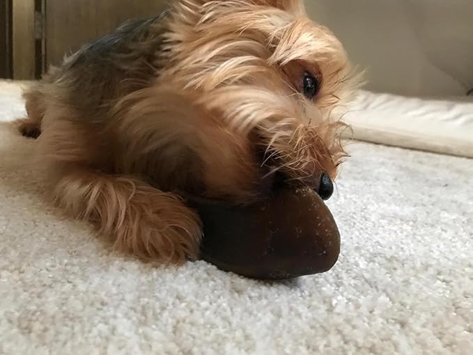 Full-Size Cow Hooves for Dogs | (5 Pack) All-Natural Long Lasting Dog Chews | Made from Grass Fed Cattle | Tasty Treat for Oral Hygiene | Fantastic Alternative for Rawhide and Bully Sticks-PawvioPets