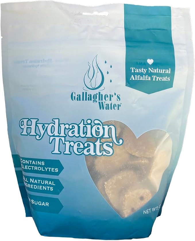 GALLAGHER'S WATER Hydration Treats for Horses. Crunchy Tasty Treats with Electrolytes. 12oz Bag-PawvioPets