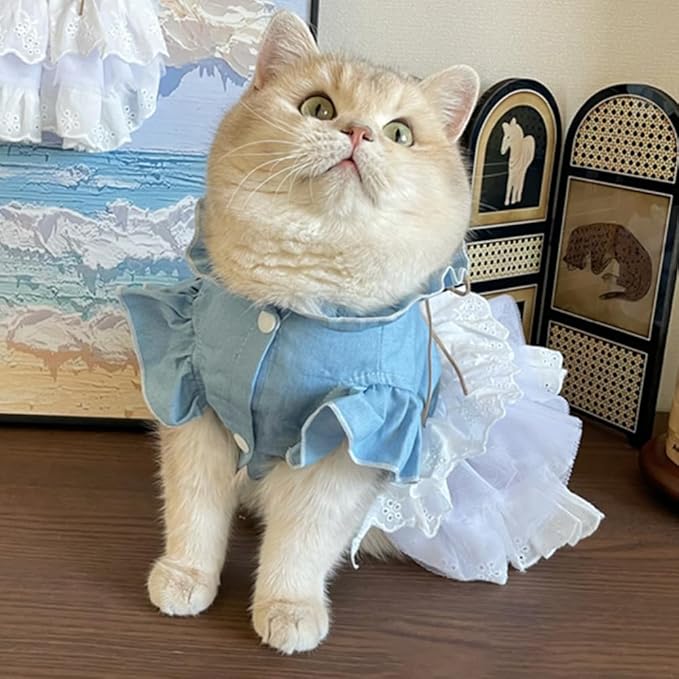 Girl Dog Denim Dress with Flared Sleeves Dog Jeans Jacket Blue White Puppy Clothes for Small Dogs Cat Apparel Cake Skirt Pet Outfit (Blue, X-Large)-PawvioPets