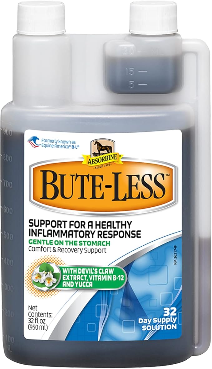 Absorbine Bute-Less Long-Term Horse Comfort & Recovery Supplement Solution, Gentle on Stomach, Devil's Claw, Vitamin B-12, Yucca, 32oz / 32 Day Supply-PawvioPets