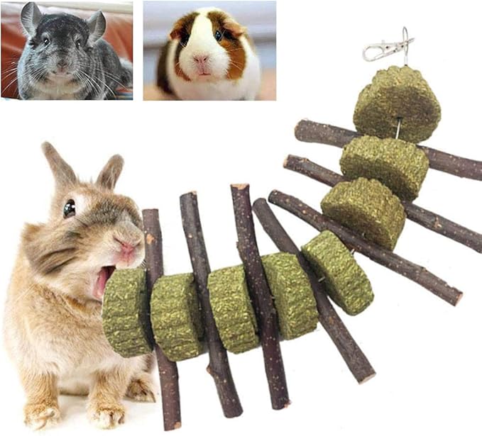Bunny Chew Toys for Teeth, Organic Apple Wood Molar Sticks with Timothy Hay Circles for Bunny Chinchilla Guinea Pig Hamsters Holland Lop Prairie Dogs Squirrels Gerbils, Improves Dental Health-PawvioPets