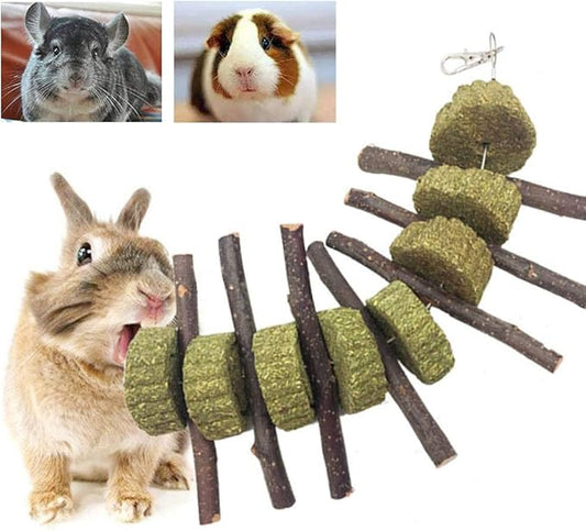 Bunny Chew Toys for Teeth, Organic Apple Wood Molar Sticks with Timothy Hay Circles for Bunny Chinchilla Guinea Pig Hamsters Holland Lop Prairie Dogs Squirrels Gerbils, Improves Dental Health-PawvioPets