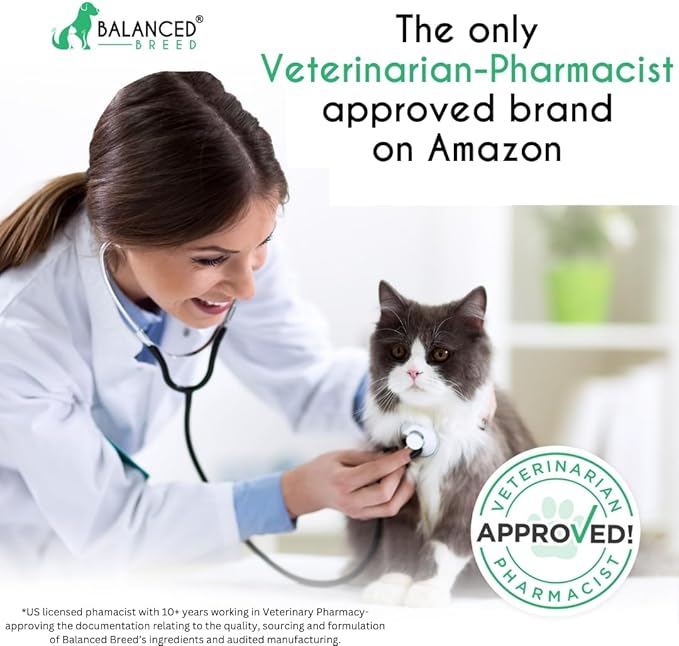 Balanced Breed L-Lysine Cats Immune Support Soft Chews Made in USA Vet-Pharmacist Approved Seasonal Allergy Relief Cat Vitamins Indoor Cats Supplements Krill Oil Asthma Relief Cat Lysine Treats NonGMO-PawvioPets