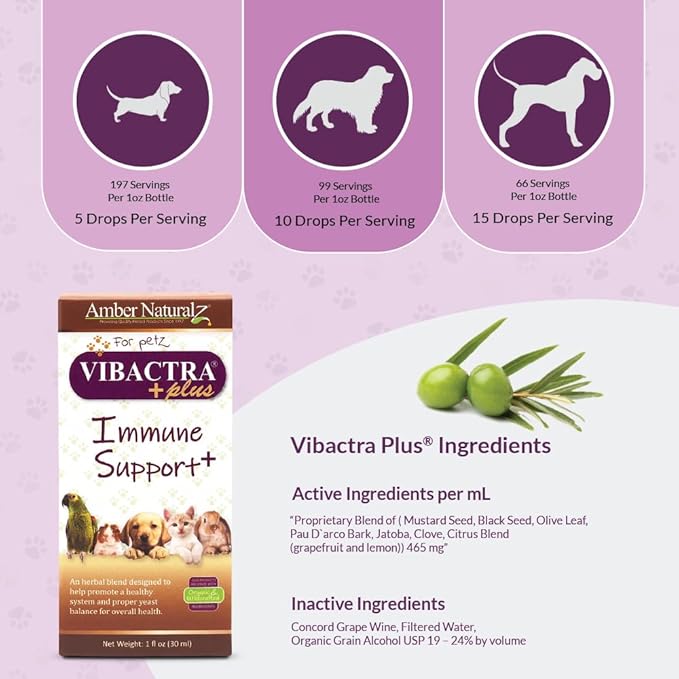 Amber NaturalZ Vibactra Plus Herbal Supplement for Dogs, Cats, Birds, Guinea Pigs, and Rabbits | Herbs for Immune Health and Yeast Balance | 1 Fluid Ounce Glass Bottle-PawvioPets