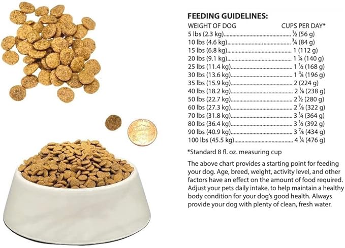 Bench & Field Holistic Natural Adult Dry Dog Food, Chicken Meal and Brown Rice Recipe 12 lb Bag (Pack of 2)-PawvioPets