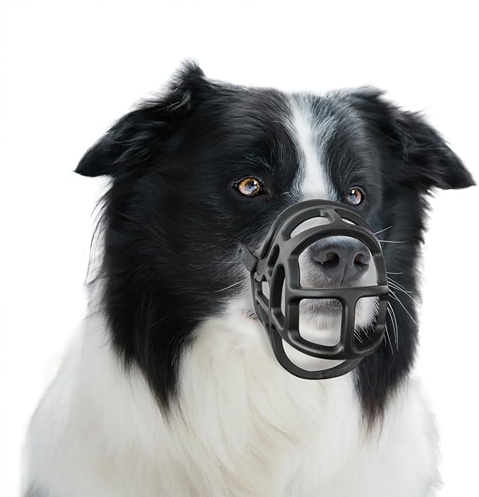 Basket Muzzle Allows Panting Drinking - Anti Biting Chewing, Sturdy Lightweight, Suitable for Grooming Trimming Training, Black, Size 2-PawvioPets
