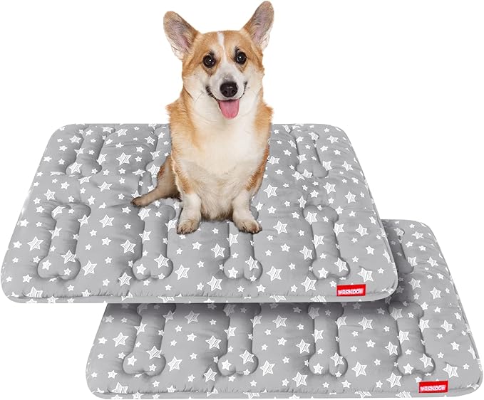 Dog Crate Mat (30" X 19") 2 Pack, Soft Dog Bed Mat with Cute Prints, Personalized Dog Crate Pad, Anti-Slip Bottom, Machine Washable Kennel Pad, Grey-PawvioPets