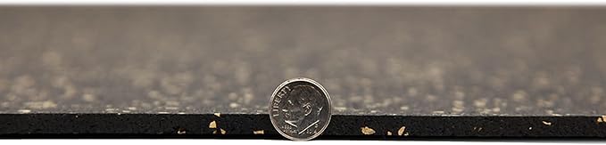 Flooring Inc's 1/4" Thick Tough Rubber Flooring Roll | Flexible Recycled Rubber Floor Mats for Home Gym | Heavy Duty Rubber Mat for Home Gyms, Sheds, Horse Stall Mat or Trailer-PawvioPets