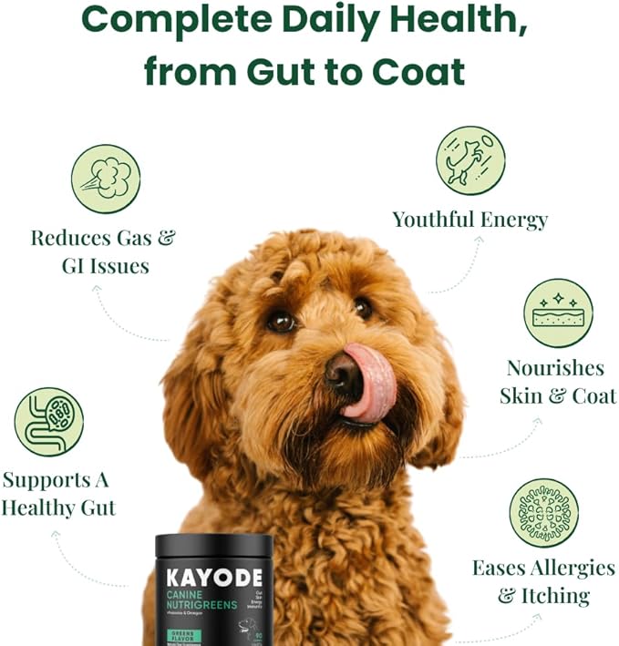 Canine NutriGreens - Natural Dog Vitamins & Probiotics for Dogs. No Messy Powder. Includes Spirulina, Kelp & Antioxidant Berry Mix. 6-in-1 Dog Supplements & Vitamins Chews. Super Greens for Dogs.-PawvioPets