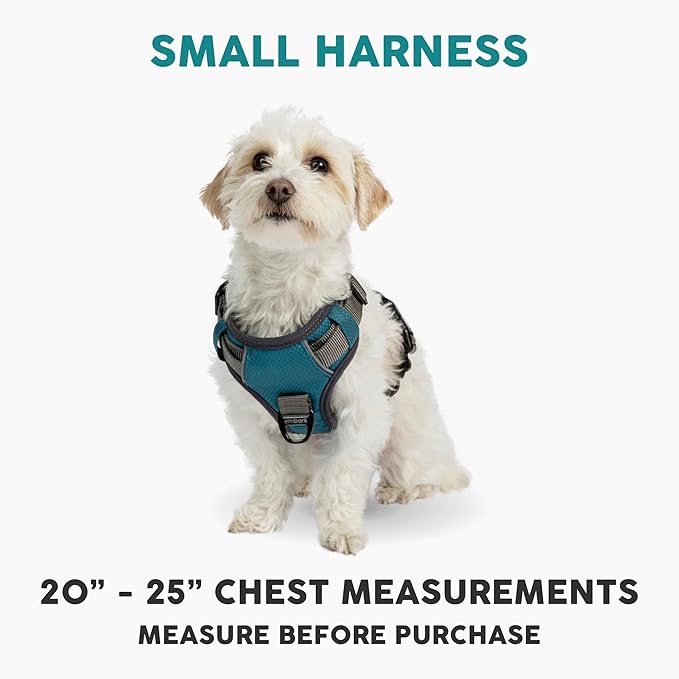 Embark Adventure Dog Harness, Easy On and Off with Front and Back Leash Attachment Points & Control Handle - No Pull Training, Size Adjustable and No Choke (Small - Teal Blue)-PawvioPets