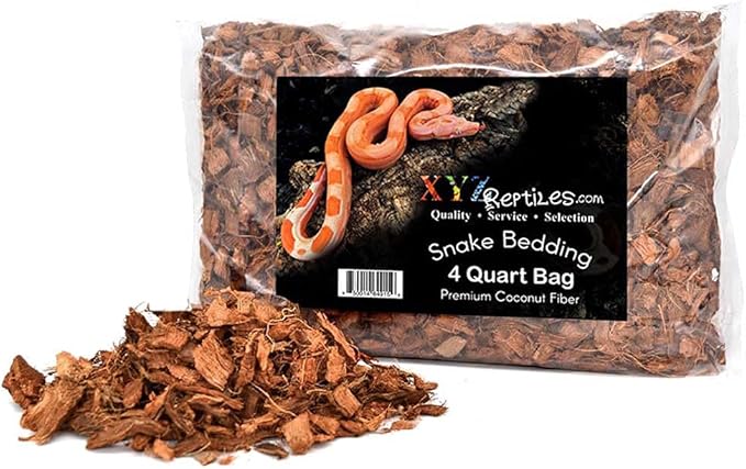 Boa Constrictor Habitat 10 Gallon Terrarium Kit-PawvioPets