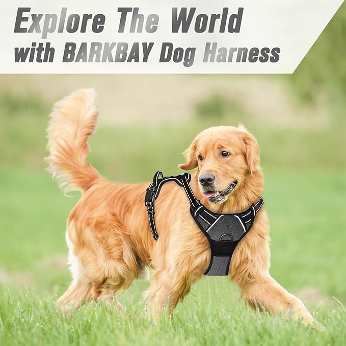 BARKBAY No Pull Dog Harness Front Clip Heavy Duty Reflective Easy Control Handle for Large Dog Walking(Dark Grey,L)-PawvioPets
