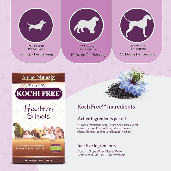 Amber NaturalZ Kochi Free Herbal Supplement for Dogs, Cats, Birds, Rabbits, and Guinea Pigs | Supports Healthy Bowel Function | Natural Aid for Digestive Balance | 16 Fluid Ounce Glass Bottle-PawvioPets