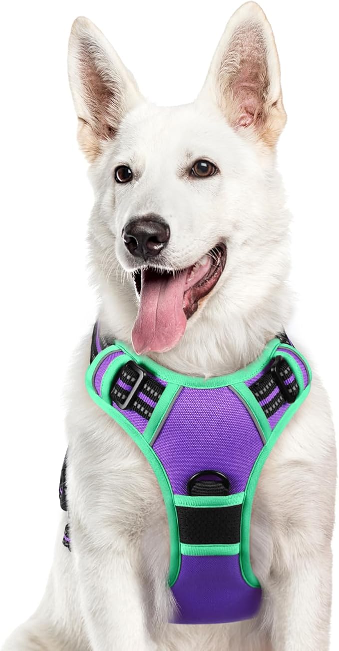 Eagloo Dog Harness for Large Dogs, No Pull Service Vest with Reflective Strips and Control Handle, Adjustable and Comfortable for Walking, No Choke Pet Harness with 2 Metal Rings, Purple & Green, XL-PawvioPets