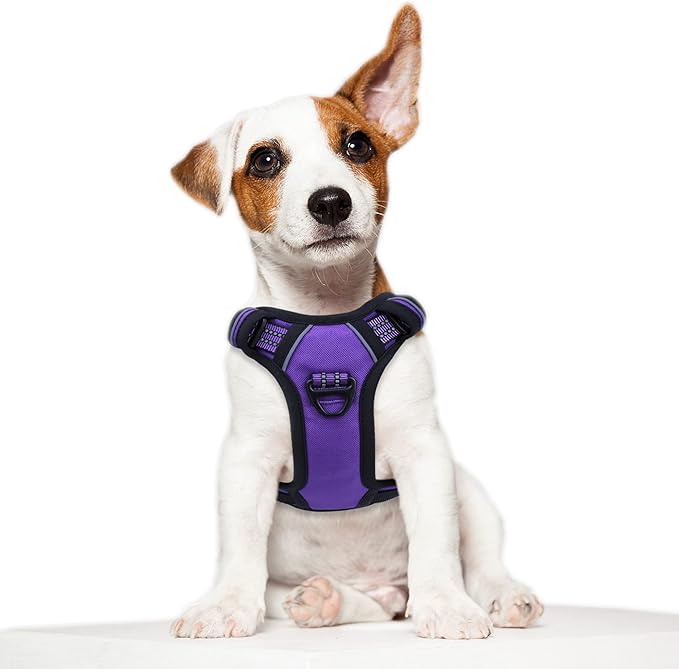 BUMBIN Tactical Dog Harness for Small Dogs No Pull, Famous TIK Tok No Pull Puppy Harness, Fit Smart Reflective Pet Walking Harness for Training, Adjustable Dog Vest Harness with Handle Purple XS-PawvioPets