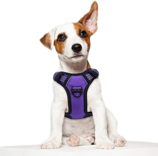 BUMBIN Tactical Dog Harness for Small Dogs No Pull, Famous TIK Tok No Pull Puppy Harness, Fit Smart Reflective Pet Walking Harness for Training, Adjustable Dog Vest Harness with Handle Purple XS-PawvioPets