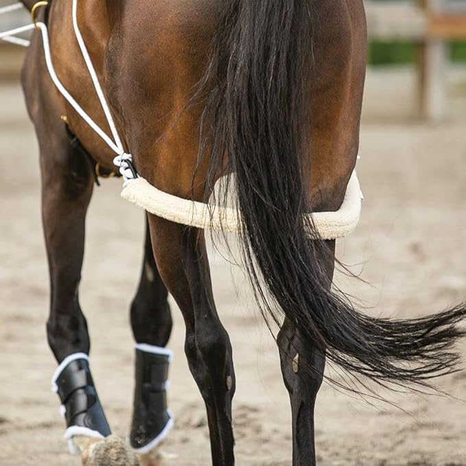 Advanced European Training System | Advanced Training Tool | Enhances Horse Carriage and Headset | Encourages Forward Movement | Strengthens Key Muscles | Not for Beginners-PawvioPets