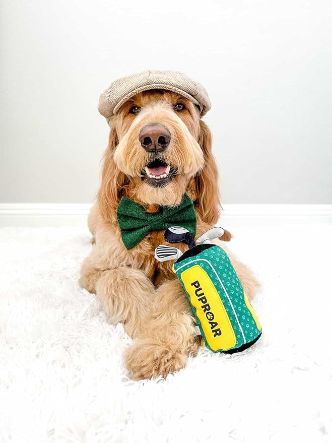 Golf Dog Toy – Birthday Dog Toy, Funny Plush Squeaky Puppy Gift with Rope & Crinkle, Golf Bag Gift-PawvioPets