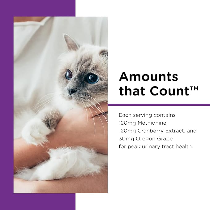 Feline Paw Gel-PawvioPets