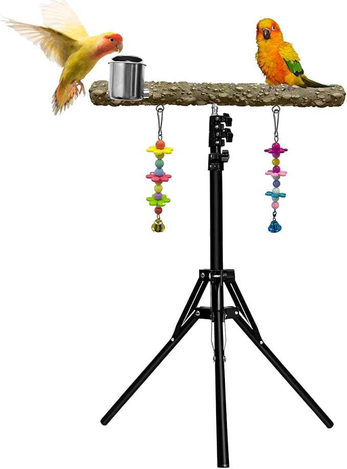 16-63 Inch Height Adjustable Bird Perch Pepper Wood Parrot Training Perch Stand with Feeding Cups and Swing Toy Parakeet Perches Indoor and Outdoor Parrot Stands for Small to Medium Bird-PawvioPets